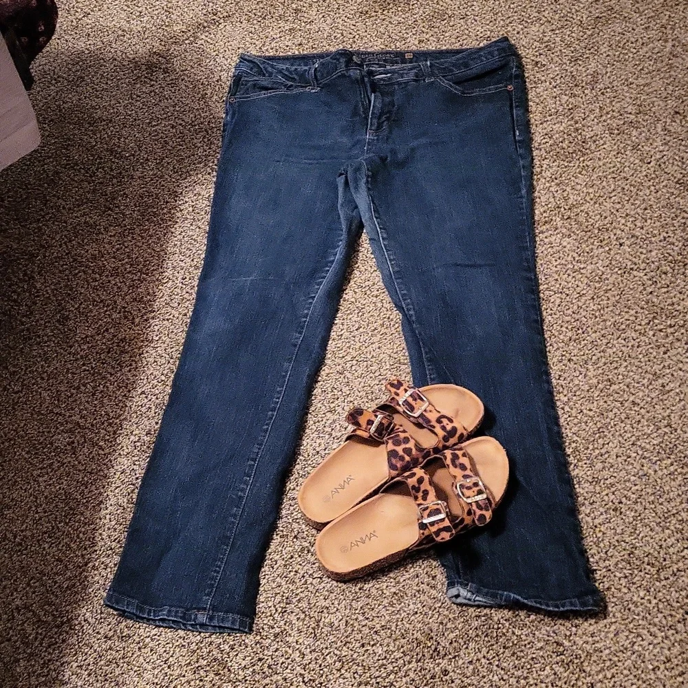 EUC Faded Glory Straight leg. Size 16P - Picture 1 of 7